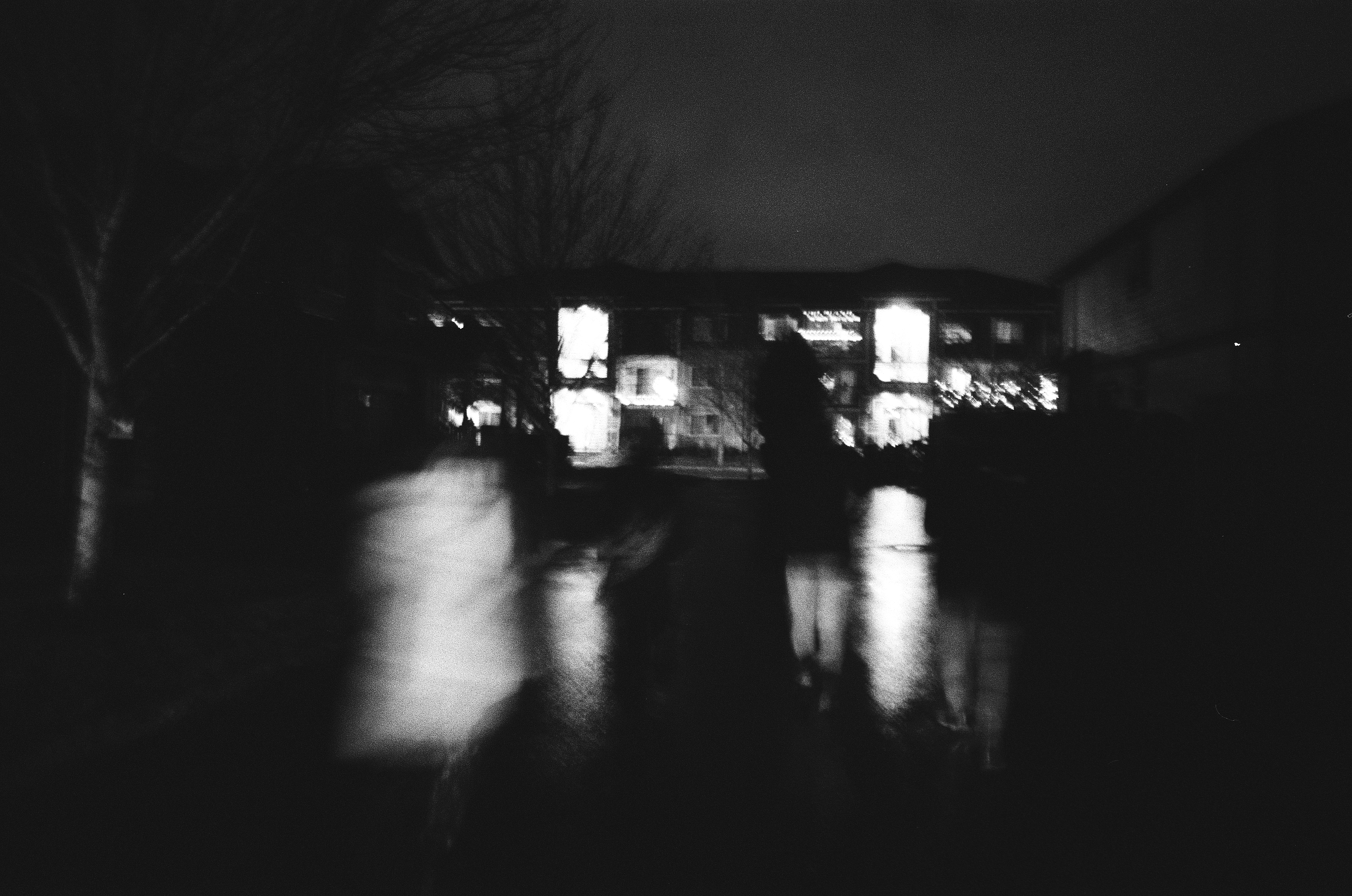 Gallery cover image.