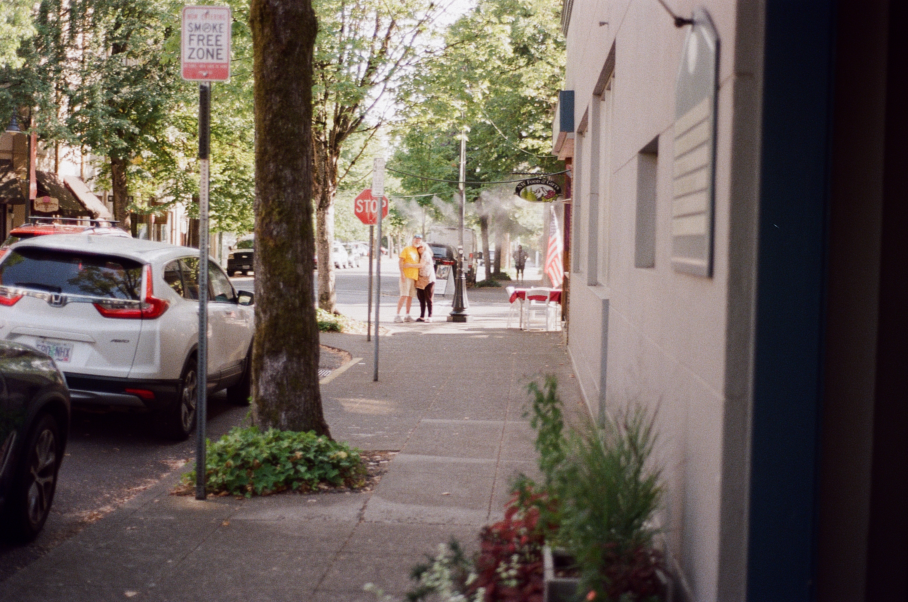 Gallery cover image.