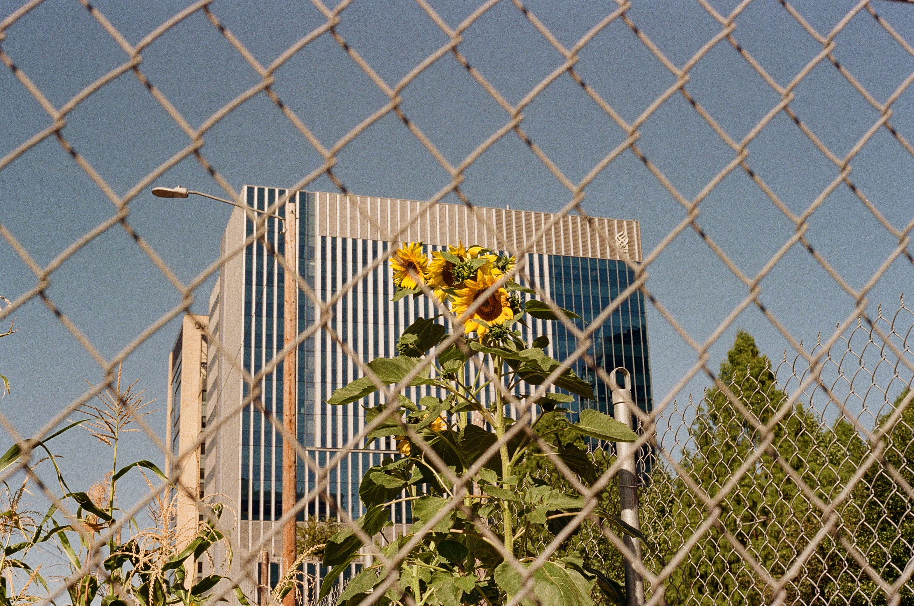 Gallery cover image.
