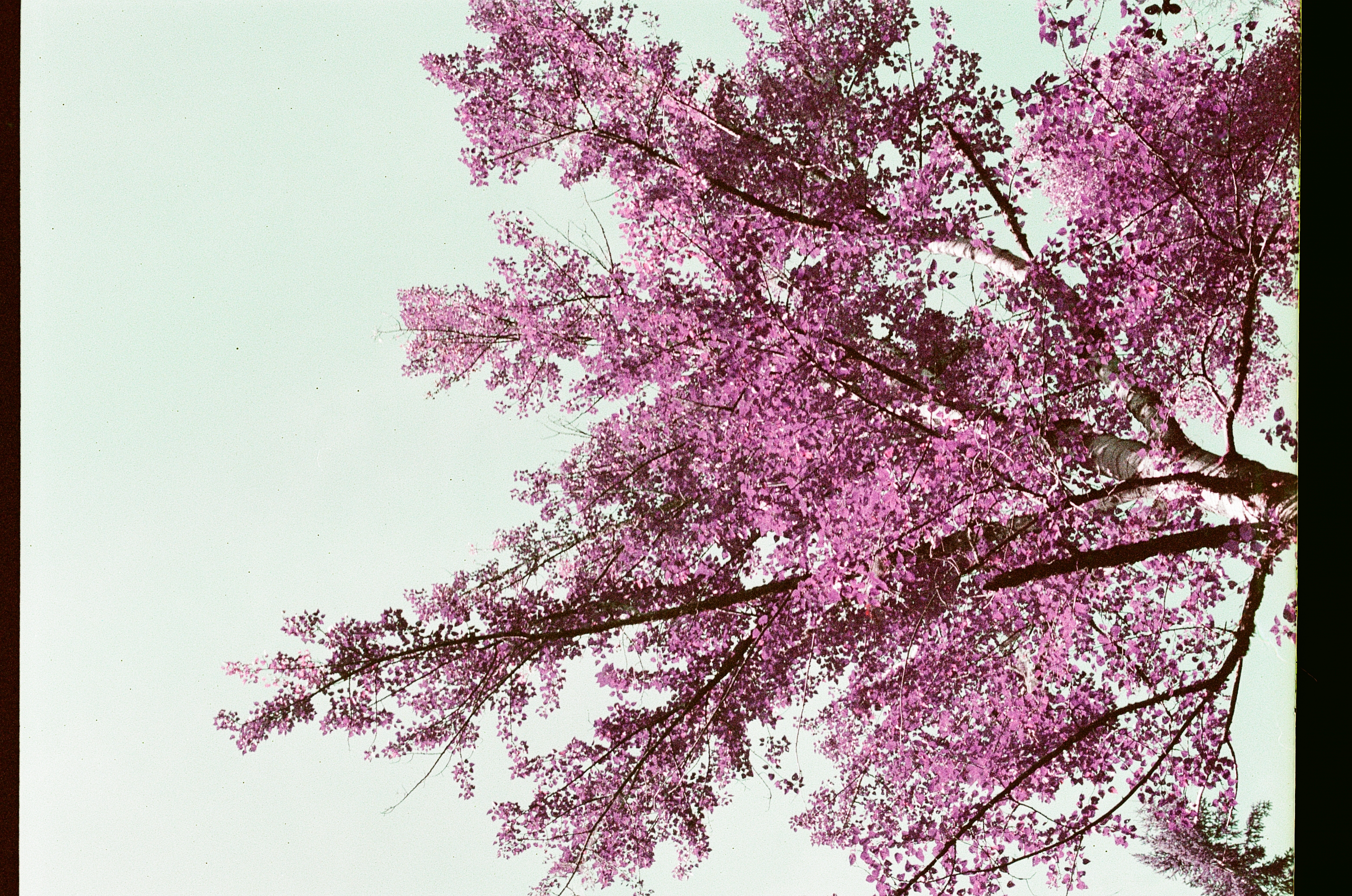 Gallery cover image.